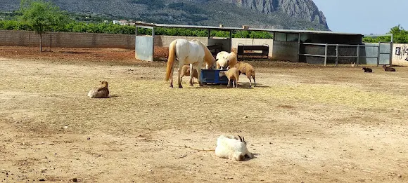 Rancho Pura Vida - Beniarbeig