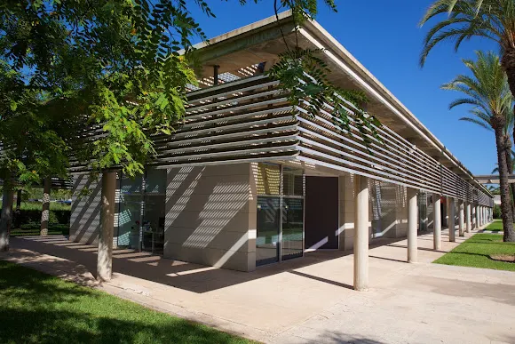 Fundación General de la Universidad de Alicante - San Vicente del Raspeig