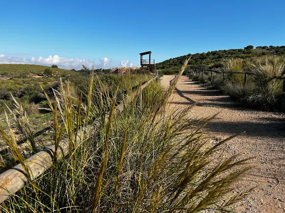 Bunker y Mirador - Elche