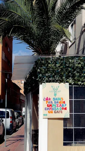 Caza Café
