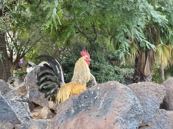 Национальный Парк - Torrevieja