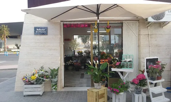 Ballester Arte Funerario