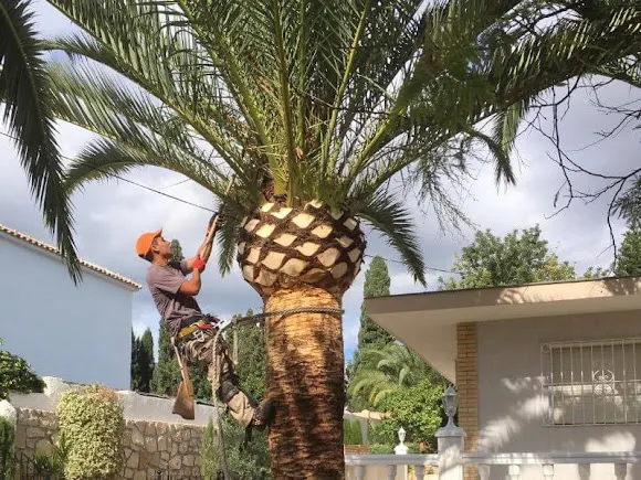 JARDINERÍA LA NATURA - Altea