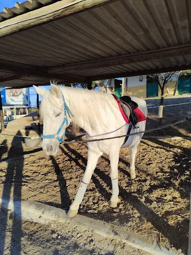 Magarin S.L. - Alicante