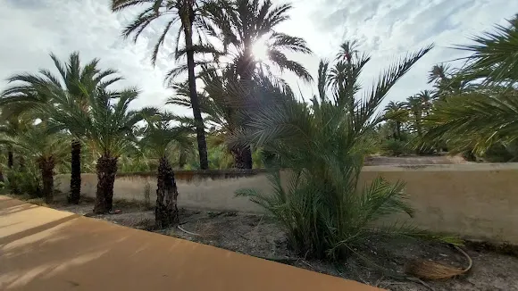 Tren turistico de Elx - Elche