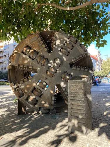 Cabeza de corte - Alicante