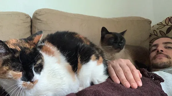 Clínica Garaita Veterinaria - la Nucia