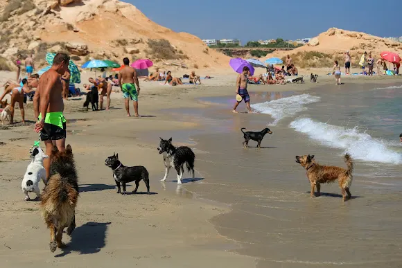 Playa autorizada para perros