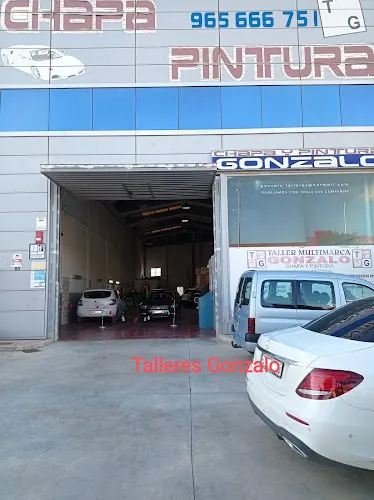 Talleres Gonzalo Chapa y Pintura