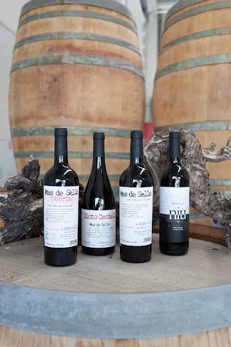 Mas de Sella Bodega - Villajoyosa