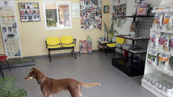 Clínica Veterinària Las Salinas - Calpe