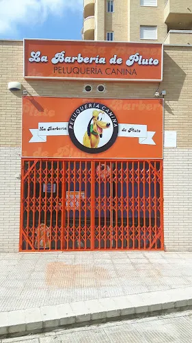 La barbería de Pluto - Alicante