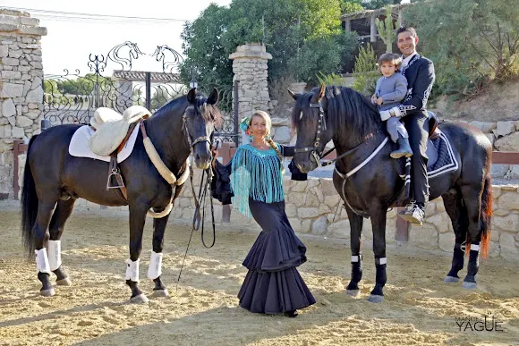 Equitación Alter Real - San Vicente del Raspeig