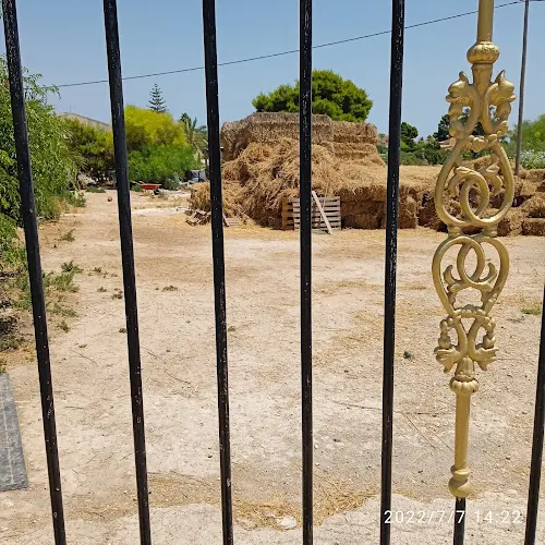 Berevëre - Elche