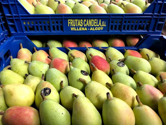 Frutas Candela S. L. Laboral
