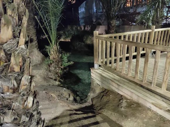 Nacimiento de Fuente del Junco