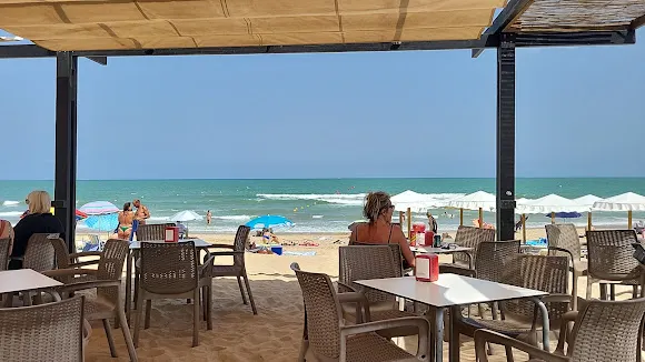 Bar Chiringuito Blue Monkey - Guardamar del Segura