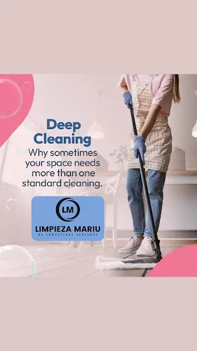 Limpieza Mariu javea