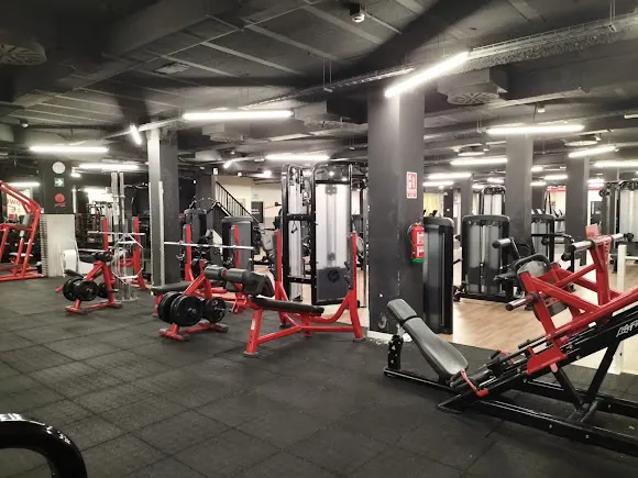 Synergym Alicante Benalúa - Alicante