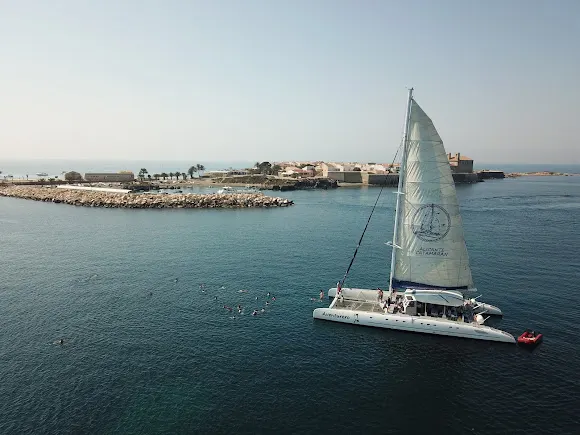 Alicante Catamaran Oficina - Alicante