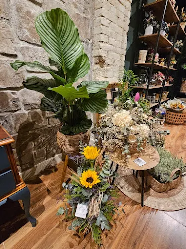 BOTANICAL