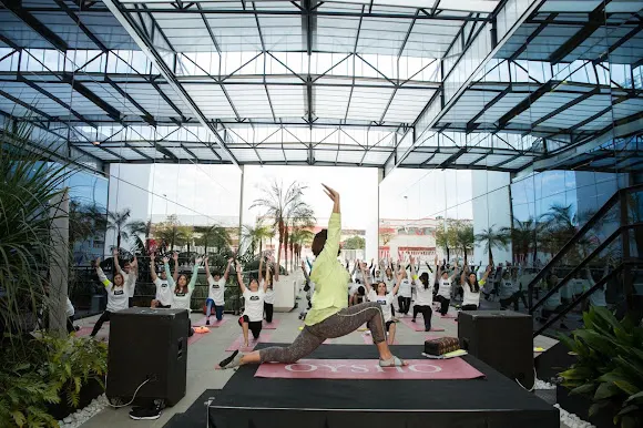 Yoga Estudio Sirsásana - Elche