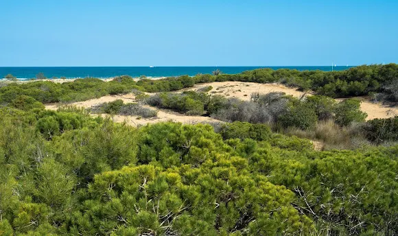 Calas del Cuartel - Santa Pola
