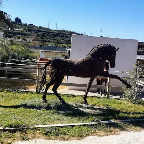 Hípica El Palmeral
