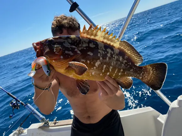 Wildfishing Alicante