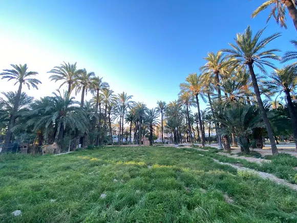 Hort de Bru o de Felip - Elche