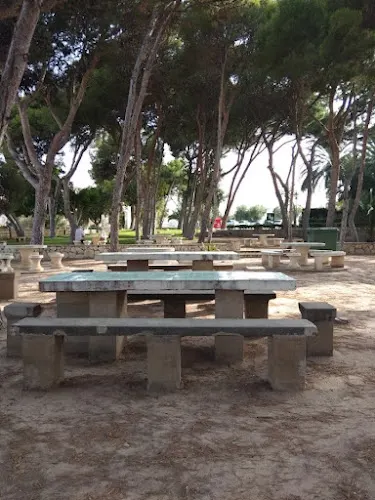 Salesianos El Campello | Colegio Nuestra Señora de la Piedad - Campello