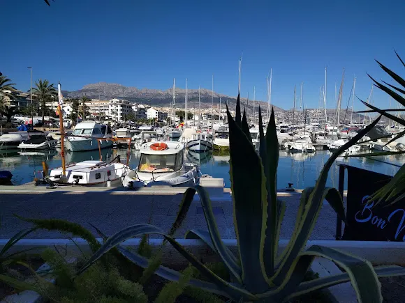 Club Náutico de Altea - Club náutico en Altea