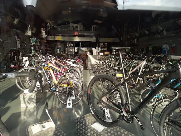 Bicicletas Sanegre