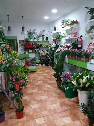 FLORISTERIA ESTATIC - Villena