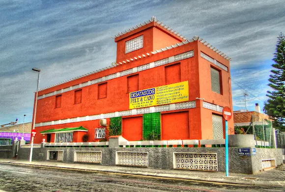 Desatascos Pele & Cano - Torrevieja