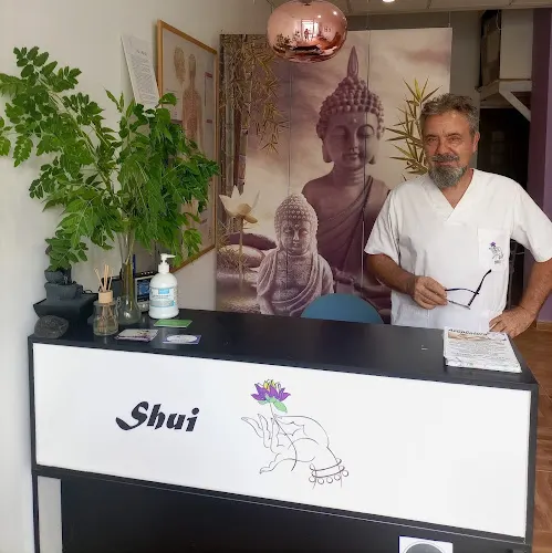 Shui centro de acupuntura y terapias naturales - Mutxamel