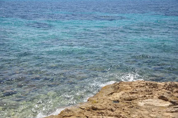 MEDITERRANEA Estate - Alicante