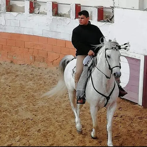 Cuadra la Garrocha (el campello)