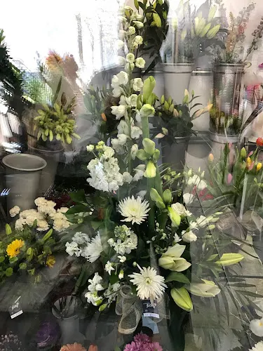 Floristería Alicia - Calpe