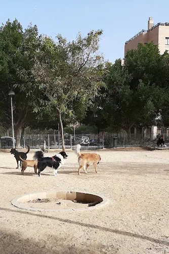 Parque canino