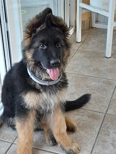 Clínica Veterinaria Valero