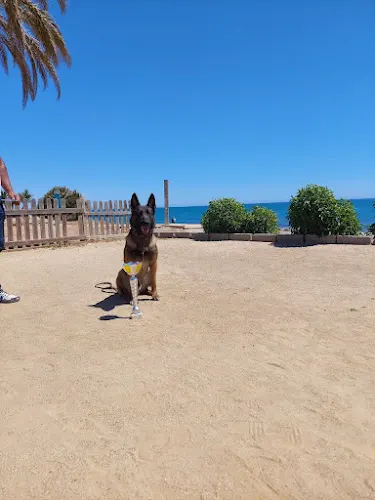 Madagui · Adiestramiento Canino - Finestrat