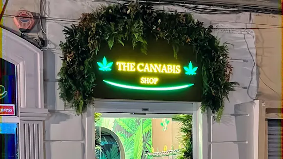 The Cannabis Shop by Hemp Brothers