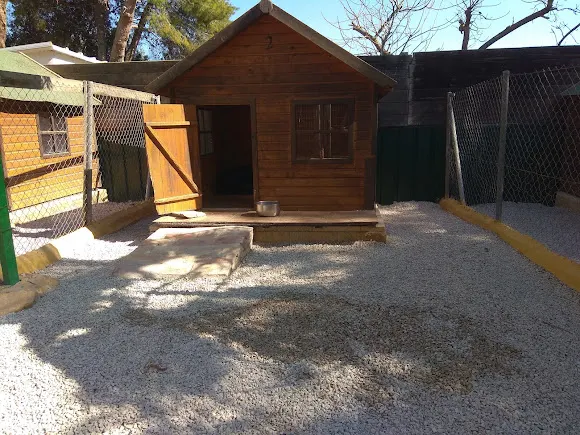Residencia Canina Reina - Almoradi