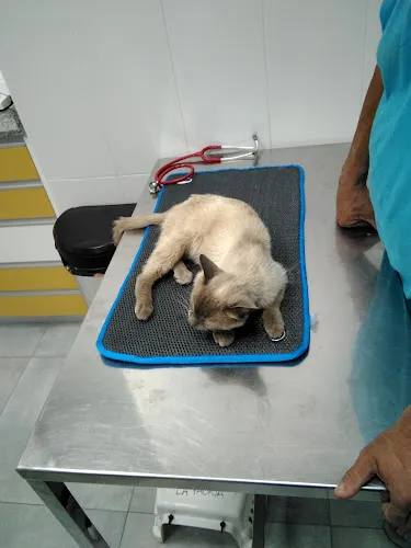 Clinica Veterinaria La Fauna
