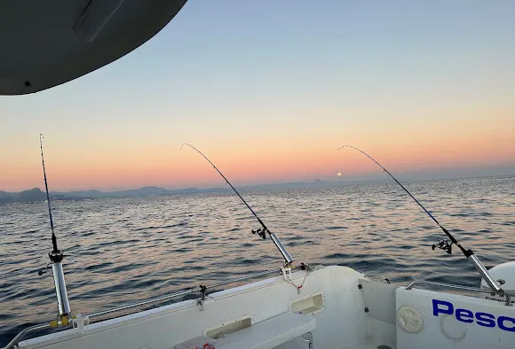 Charter Pescamar
