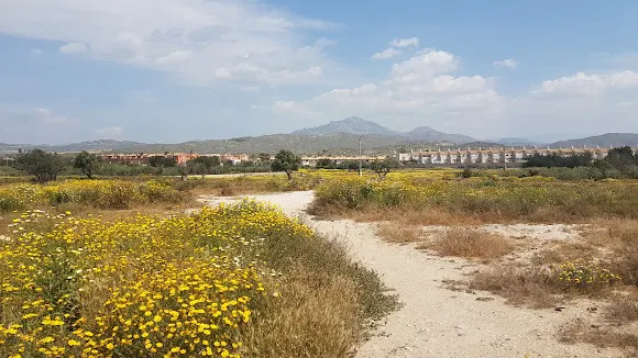 Parque Pocoyó Campello - Campello