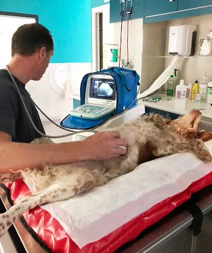 Clínica Veterinaria Cervantes - Banyeres de Mariola