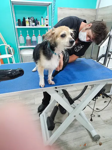 coco mascotas peluquería canina - Altea