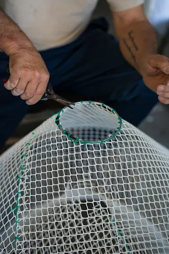 Marufina | Productos del mar | Santa Pola - Santa Pola